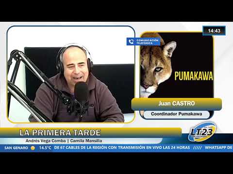 Entrevista con el Coordinador Pumakawa Juan Castro | La Primera Tarde
