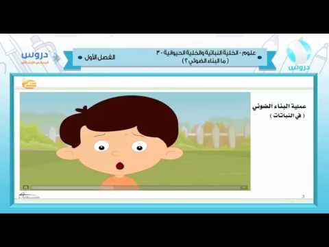 السادس الإبتدائي | الفصل الدراسي الأول 1438 | علوم | الخلية النباتية والخلية الحيوانية 3