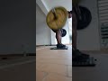 DEAD LIFT AND BACK - HOME WORKOUT