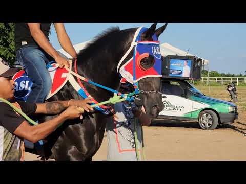APRESENTAÇÃO DOS ANIMAIS DO IV GP NATALINO