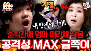 [#참교육] 오은영 긴급 촬영중단⚡순식간에 엄마 머리채 잡은 금쪽이💢 감정폭발에 공격성 MAX…은둔에 들어간 금쪽이의 아픔😱 | #금쪽같은내새끼 222회