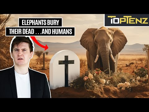 10 Bizarre and Chaotic Things You Never Knew About Elephants