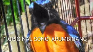 Download lagu Masteran Burung Tledekan Juara , Arum binang, Wareng ,Putra Langit mp3