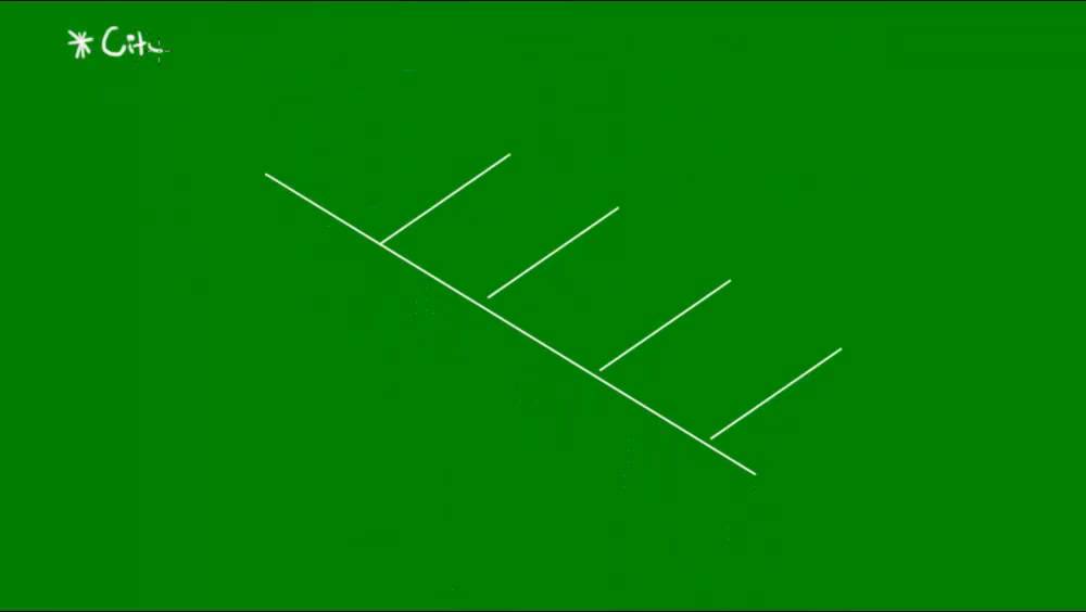 Evidências moleculares da Evolução - Evolução - Biologia