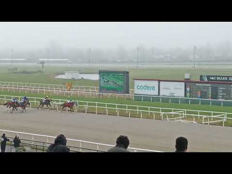 Barwoman - Producción Nacional (G3)