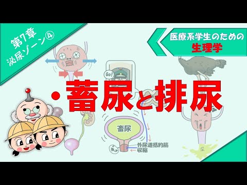 省エネ尿投下カタパルト