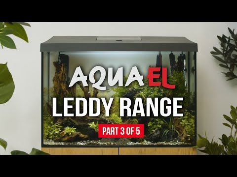 Introducing the @AQUAEL25 Leddy Range | Part 3 of 5 #Aquael #LeddyRange #Aquariums