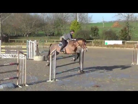 LAURE & RIDJY ... entrainement du 31/12/2015
