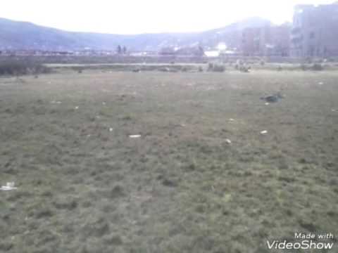 Bboys puno bboy jaguar