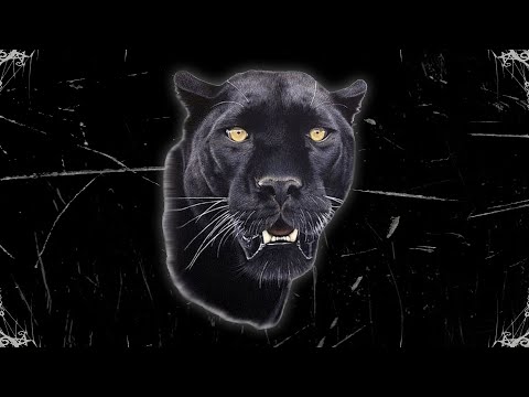 SDM x Ninho x Uzi Trap Type Beat - "ELEMENTS" | Instru Type Beat 2021