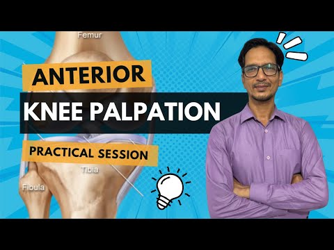 Easy Knee Anatomy For Beginners || Anterior Knee Palpation