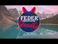 Feder - Goodbye (DJ Nejtrino & DJ Stranger Remix ...