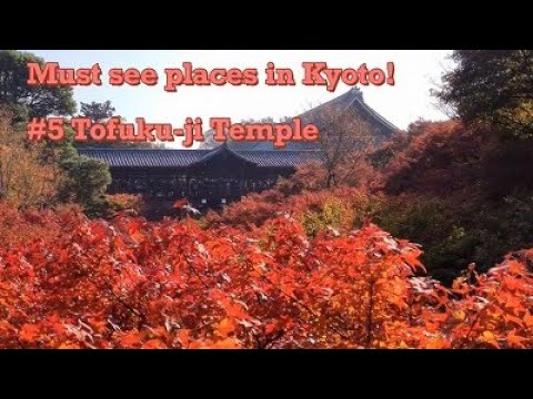 Must see places in KYOTO!!  #5 Tofuku-ji Temple