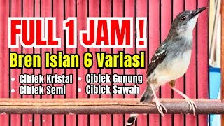 Download lagu FULL 1 JAM ‼️ MASTERAN TEMBAK CIBLEK GACOR NGEBREN 6 VARIASI ISIAN CIGUN, CISEM, CIWAH TANPA JEDA ! mp3