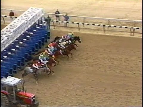 1991 Wood Memorial - ABC Broadcast