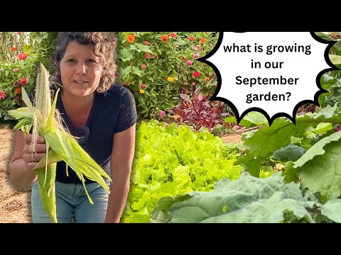 RuthAnn's September Garden 