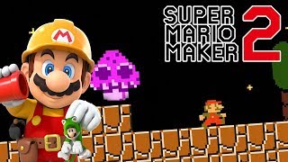 Power Ups in NIGHT Mode (Guide) | Super Mario Maker 2