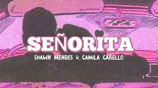 Shawn Mendes Camila Cabello - Señorita Lofi Remix