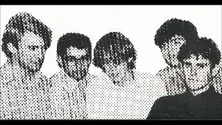 Marigolds - Sherbet girl