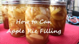 #321 How to  Can Apple Pie Filling