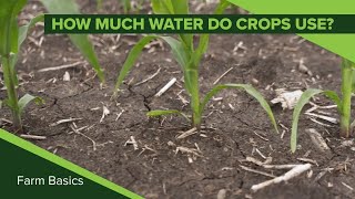 Farm Basics #1132 How Much Water Does A Crop Use (Air Date 12-15-19)