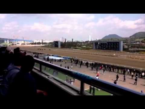Seoul Horse Races