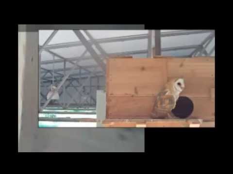 And then there were none 8:07am 7-27-15