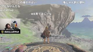 【コメ付き】 8/30 ゼルダ明け雑談 【2021年09月02日】