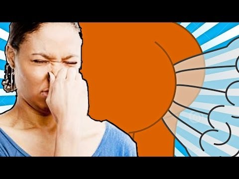 download lagu mp3 mp4 Giochi Stupidi, download lagu Giochi Stupidi gratis, unduh video klip Giochi Stupidi