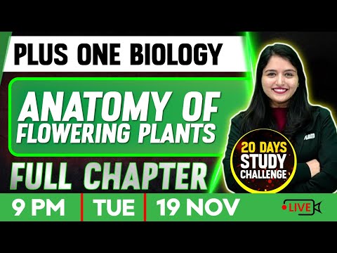 Plus One Biology | Anatomy Of Flowering Plants | Full Chapter | Exam Winner Plus One