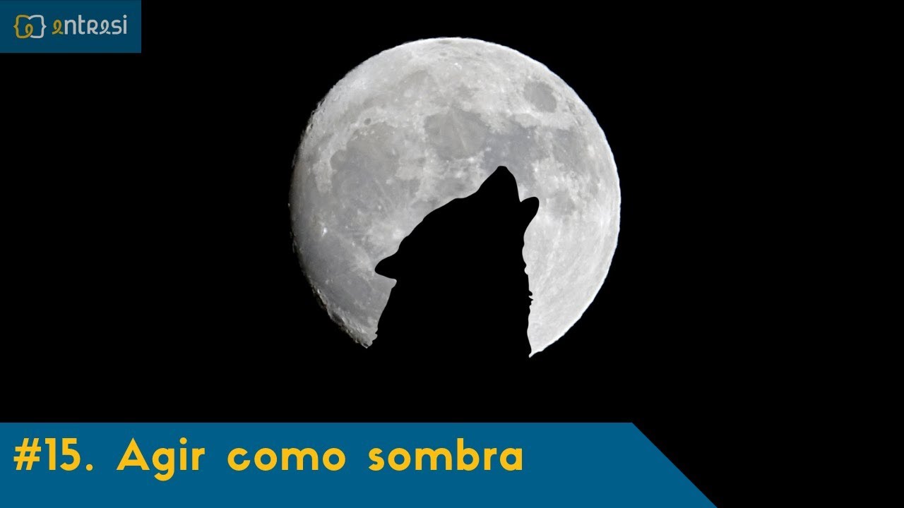 #15 Agir como sombra (último capítulo) - Mulheres que correm com os lobos