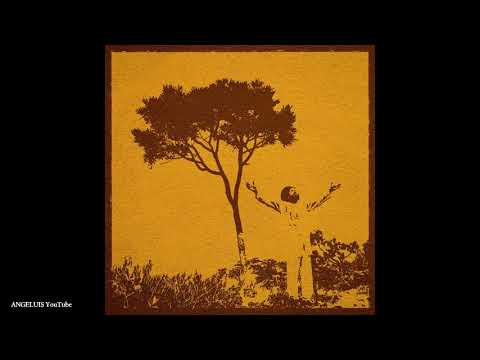 Kin Riddimz & Apoena Ferreira - Benevolence (feat. Jocilaine Oliveira) [Dub And Rock] Release 2021