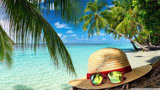 Markvard- Feel My Love