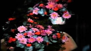 vicente fernandez - La Entrega