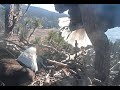 Jackie Brings A Not So Favorite Food Item For Her Anyway A Coot 3 25 21 Big Bear Eagles