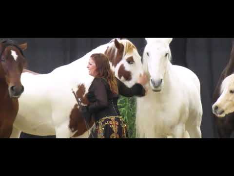 Gilliane Senn Horse Show