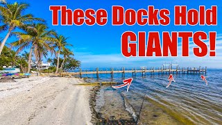 Chasing MONSTERS On Docks and Seawalls in Sanibel - You Haven't Tried It This Way!