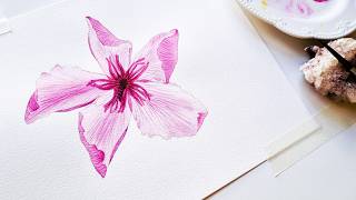 How to Paint Transparent Watercolor Flowers: pink oleander flower painting tutorial