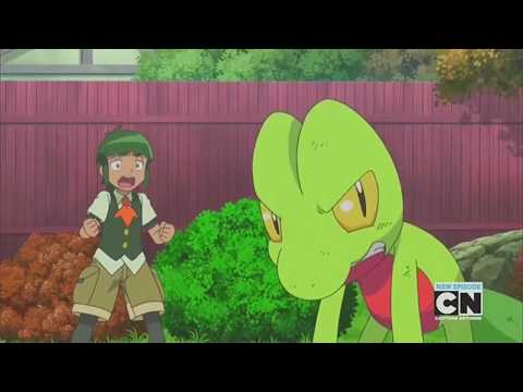 Pokemon AMV Warriors