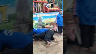 Download lagu Anusopati Candi Rejo🔥#jaranan #jarankepang #kudalumping #shorts #short #kalapan #kesenian #malangans mp3