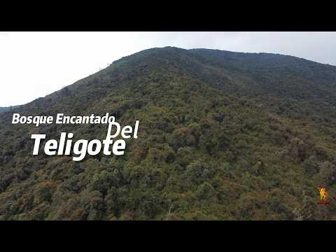 CERRO TELIGOTE Y SU MIRADOR