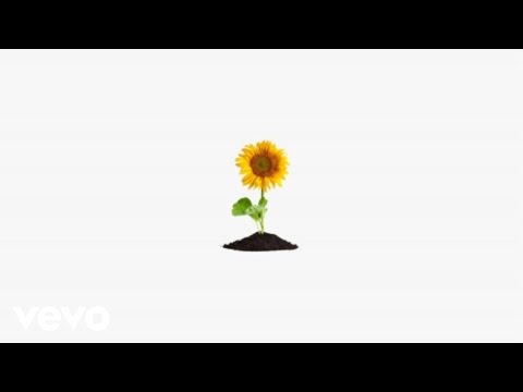 Fellow Human - On My Mind