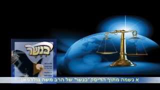 א נשמה - משה גולדמאן