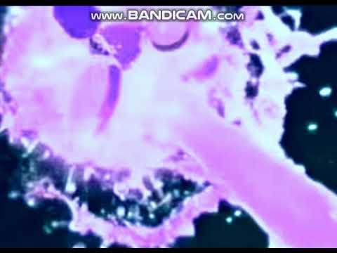 KUOO Campus Radio Airchecks - April 30, 2020