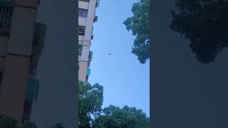 [問卦] 為什麼黑鷹直升機一直盤旋