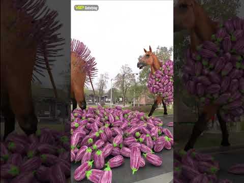 Relaxing clips on VBP Satisfying channel P.215 #shorts #VBP #satisfying