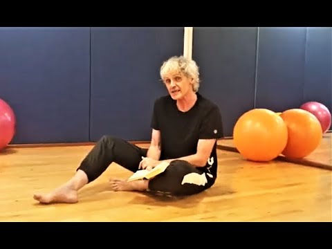 FRANÇOIS DE MALHERBE - Leçon de poésie