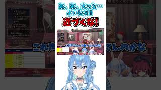 あくたんに近づきたい!【星街すいせい/湊あくあ/兎田ぺこら/宝鐘マリン】【ホロライブ切り抜き】