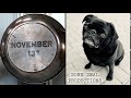 November 13th Done Deal Productions It S A Laugh Productions 2018
