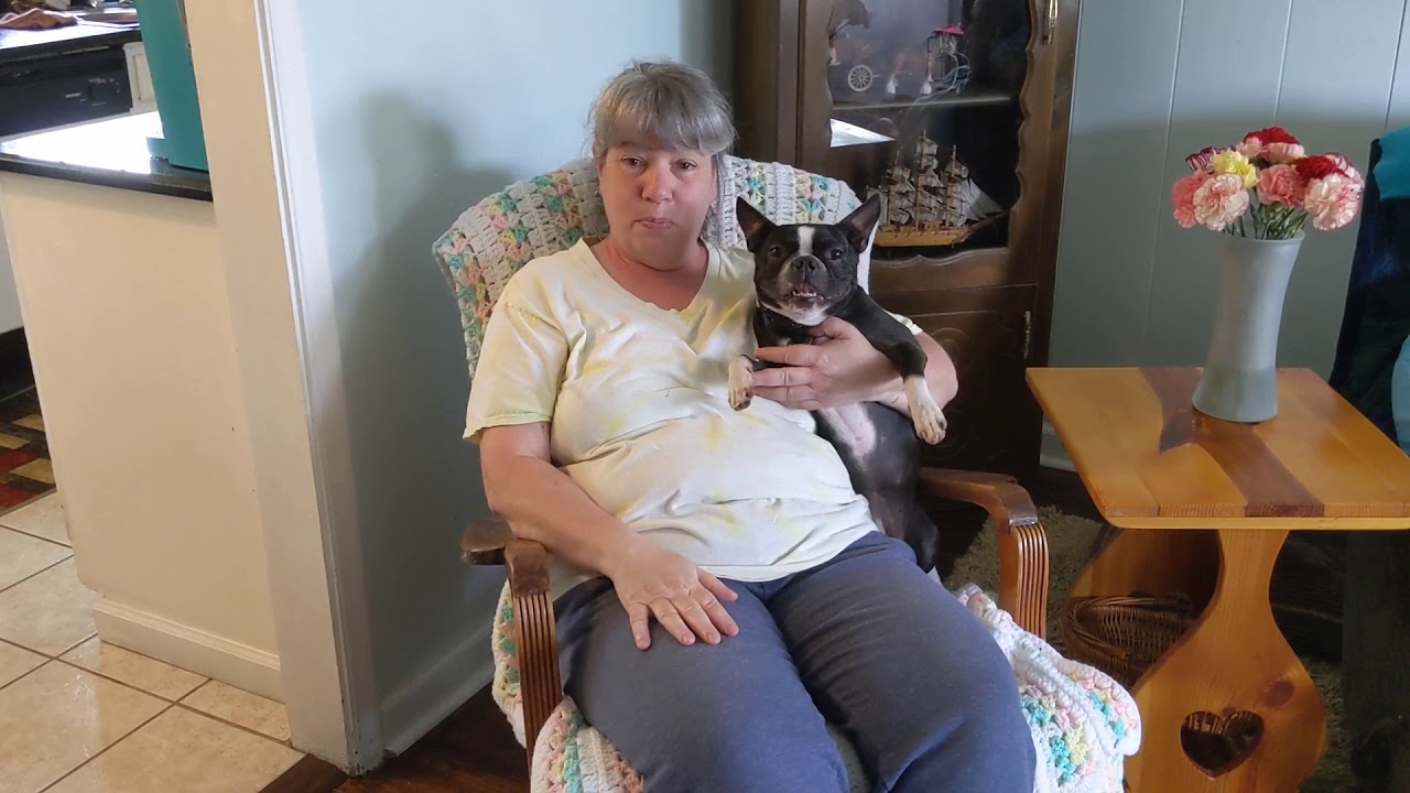 Tip Top K9 Reviews | Dog Trainers in Tulsa | I Would Totally Recommend Tip Top